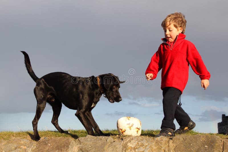 What Does Kicking The Dog Mean