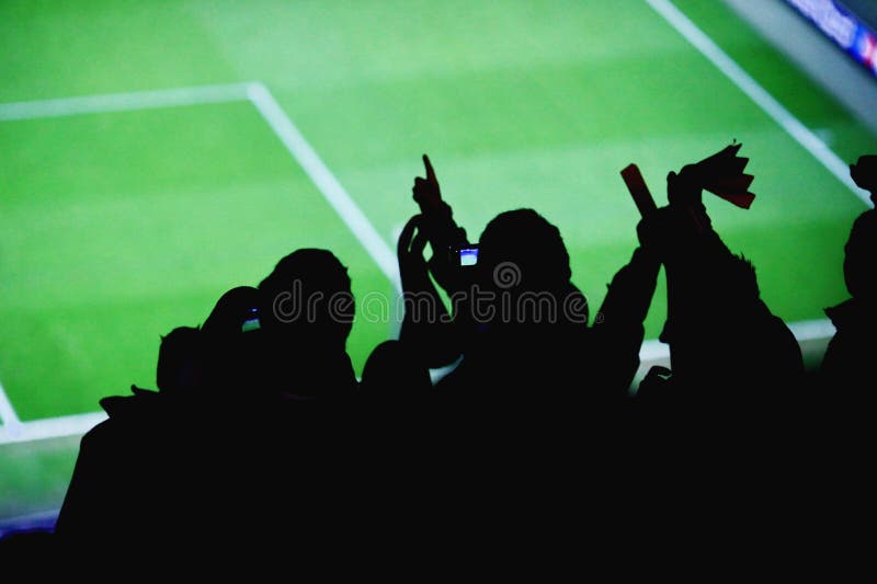 Soccer Fan Celebration stock photo. Image of field, victory 25778726