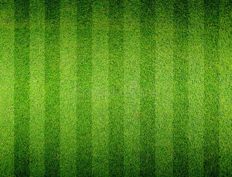 Soccer football grass field