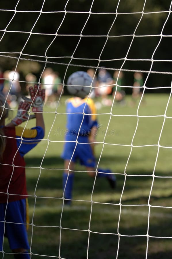 Soccer Goal Being Made Picture. Image 1278999