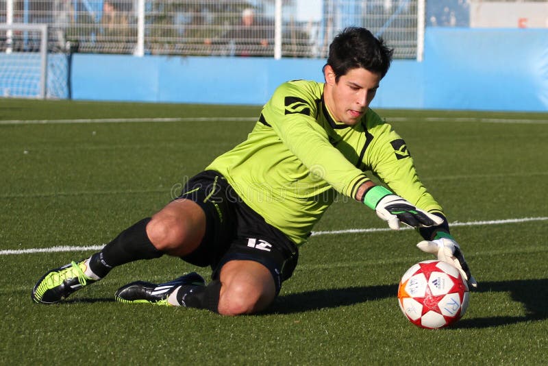 Soccer Goalkeeper Kick the Bal Stock Image Image of ball, grass 5085271