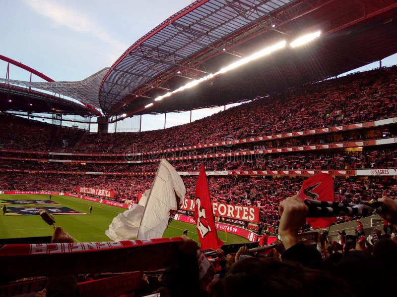 Soccer Stadium, Benfica Football Arena, Real Fans Crowd, Estadio da Luz, Lisbon royalty free stock photo Soccer Stadium, Benfica Football Arena, Real Fans Crowd, Estadio da Luz, Lisbon royalty free stock photo