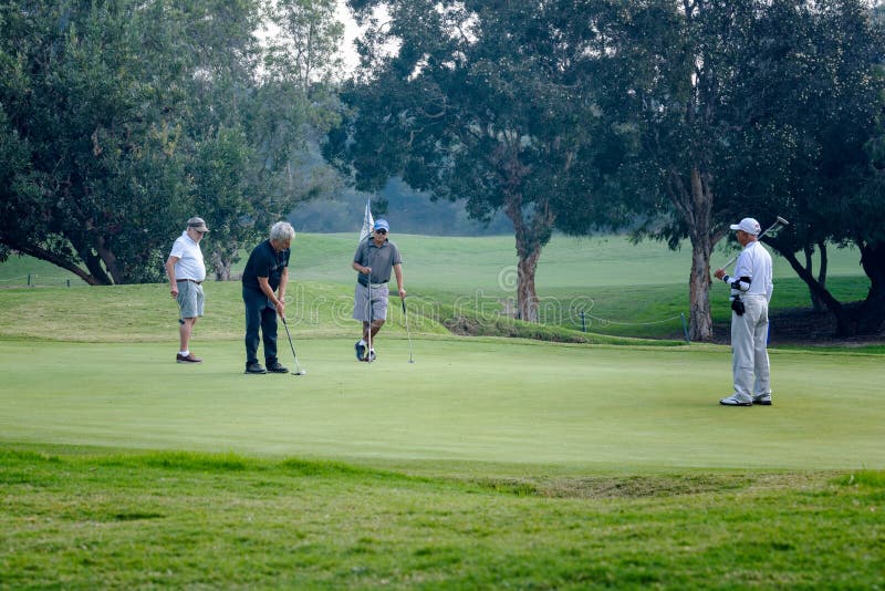 A group of senior social golfers on putting green with flag removed from putting hole ready to complete putting before playing the next hole. A group of senior social golfers on putting green with flag removed from putting hole ready to complete putting before playing the next hole.