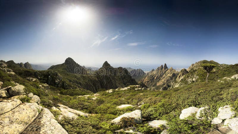 Socotra island