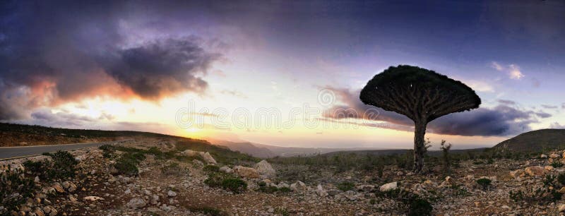 Socotra island sunset