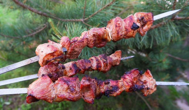 Soczyste mięso na skewersach na tle drzewa iglastego. kebab mięsa jest smażony na grillu obraz royalty free