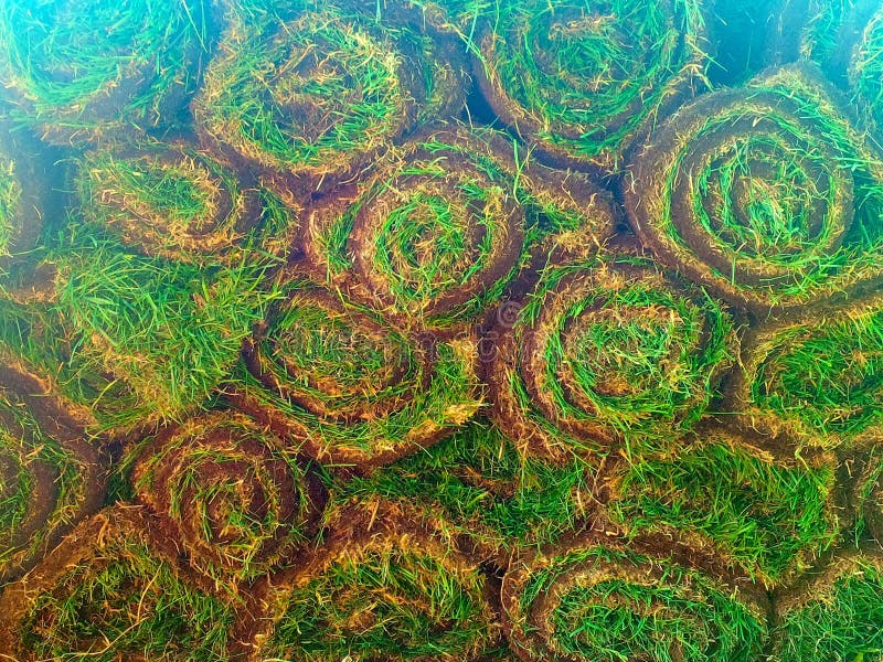 Sod Rolls royalty free stock photography Sod Rolls royalty free stock photography