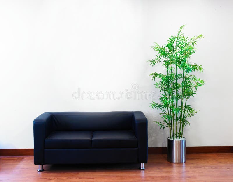 A rich sofa with green plant