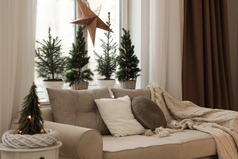 Sofa Near Window with Small Fir Trees in Room. Interior Design Stock Image Image of background