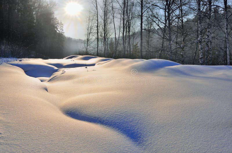 Soft bizarre curves of snow surface near the winter forest