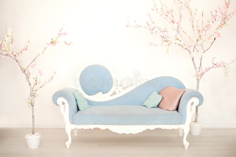 A soft blue sofa with artificial flowering trees in a white living room. Classic style sofa in the house. Antique wooden sofa armc stock photos A soft blue sofa with artificial flowering trees in a white living room. Classic style sofa in the house. Antique wooden sofa armc stock photos
