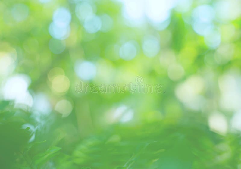 141,035 Blurred Leaves Background Stock Photos - Free & Royalty-Free Stock  Photos from Dreamstime