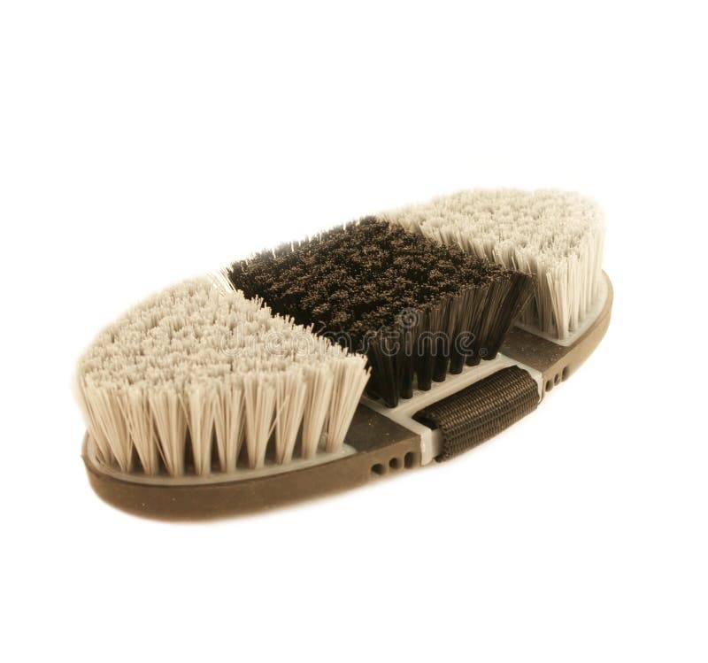 Soft Brush for Grooming Horses Stock Photo Image of finishing, white