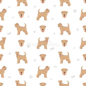 Soft Coated Wheaten Terrier Seamless Pattern Different Poses Coat Soft Coated Wheaten Terrier Seamless Pattern Different Poses Coat