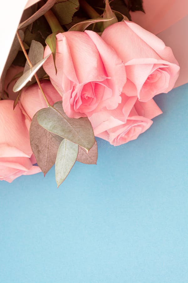 pics Aesthetic Light Blue And Pink Background dreamstime com