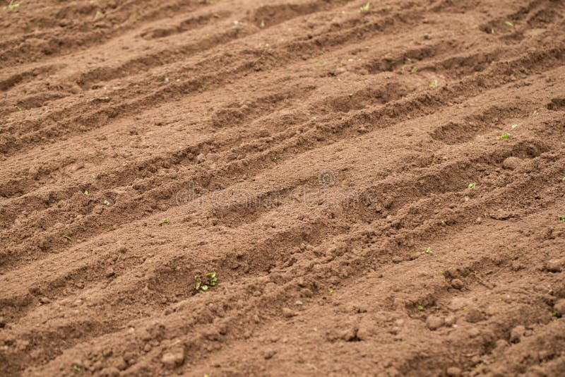 10 927 Soft Earth Photos Free Royalty Free Stock Photos From Dreamstime 10 927 Soft Earth Photos Free Royalty Free Stock Photos From Dreamstime