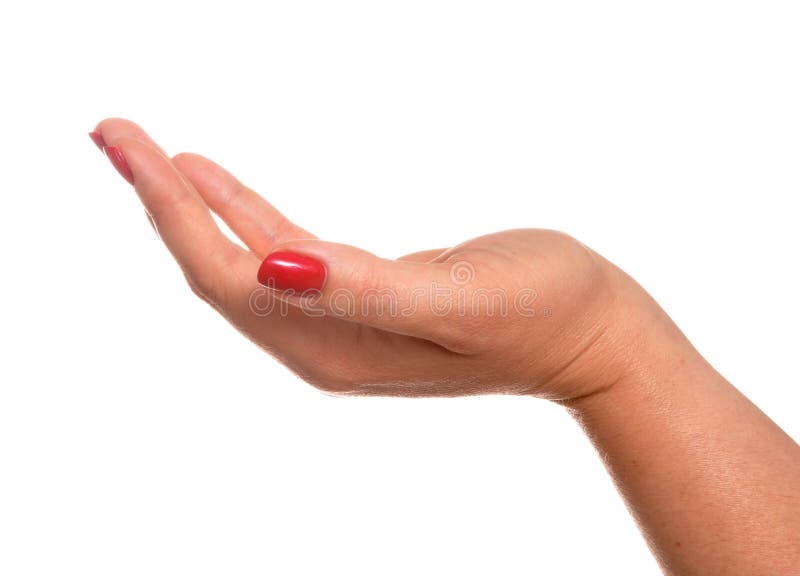 Soft female hand