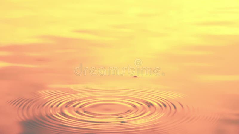 Soft focus water drop, sunset light effects