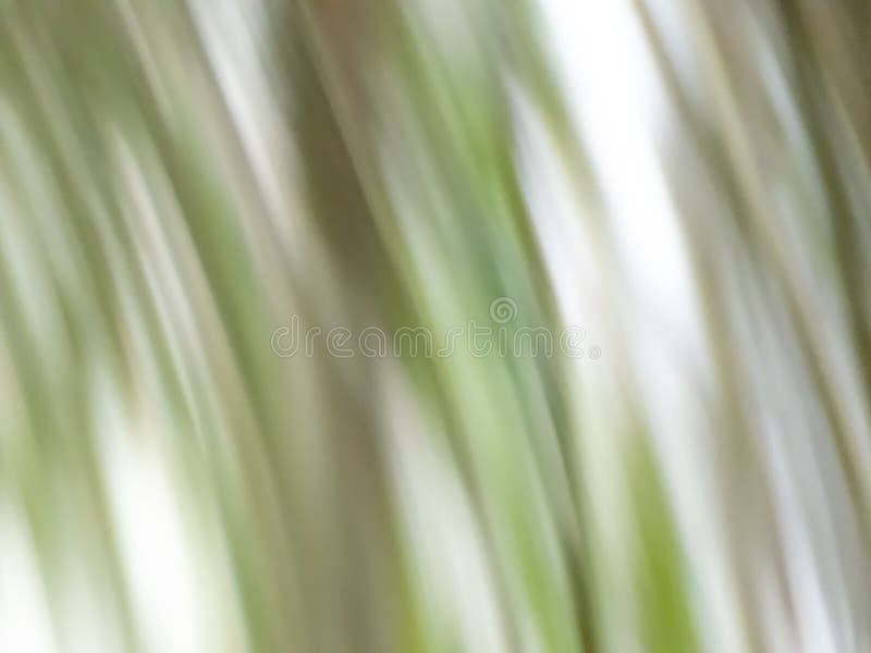Soft Green and White Stripy Nature Washed Out Effect and Purposely Blurred  View of Nature. Fresh and Inspiring Pastel Background Stock Image - Image  of illuminated, glowing: 205544987