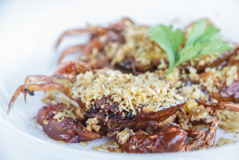 Soft shell crab fried with garlic royalty free stock photo