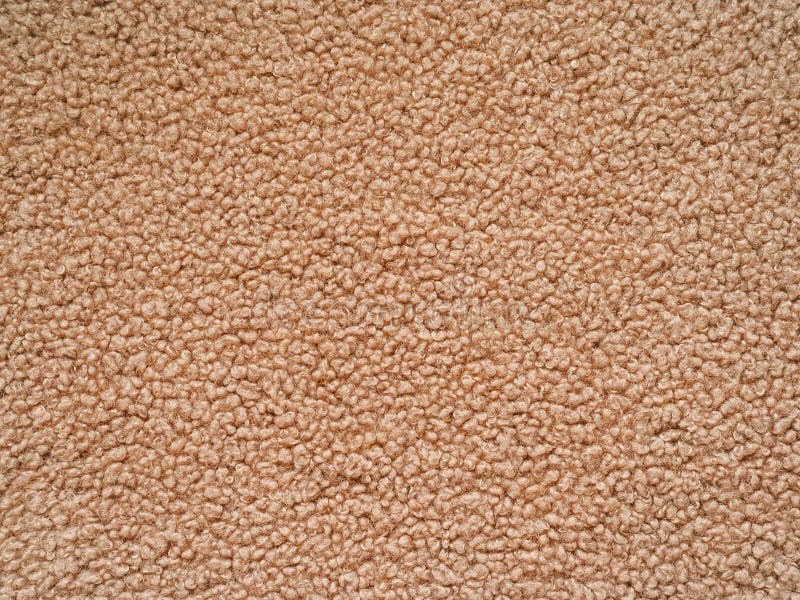 Soft Teddy Bear Faux Fur Coat Fabric Texture Stock Image Image of
