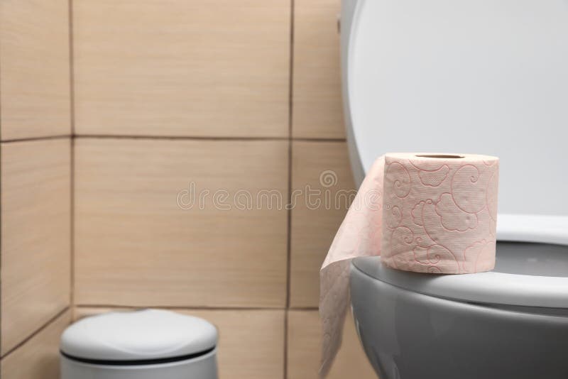 Soft Tissue Paper on Toilet Seat in Bathroom Stock Photo Image of