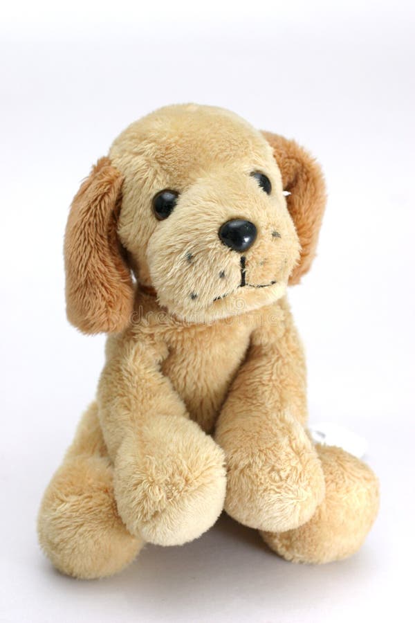 soft toy dog