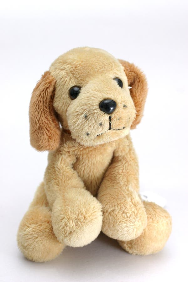 Soft-toy dog