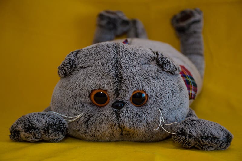 Soft Toy Grey Cat with Big Eyes Stock Image Image of childhood, eyes