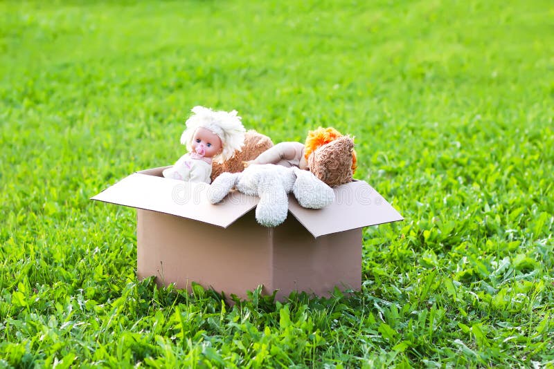 Soft Toys for Donation in the Opened Cardboard Box on Green Grass