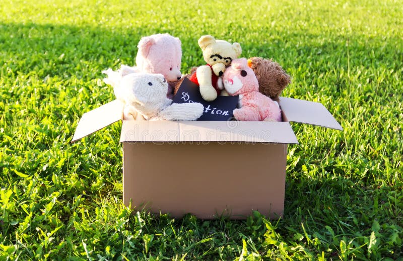 Soft Toys for Donation in the Opened Cardboard Box on Green Grass
