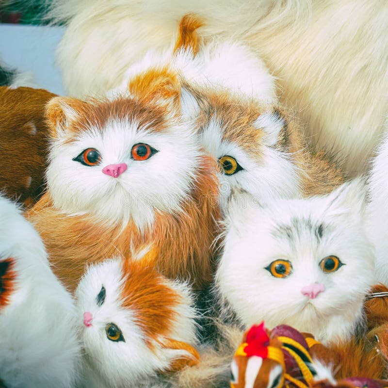 Soft Toys Kittens Sitting in Front of Camera Stock Image Image of ribbon, present 176128185