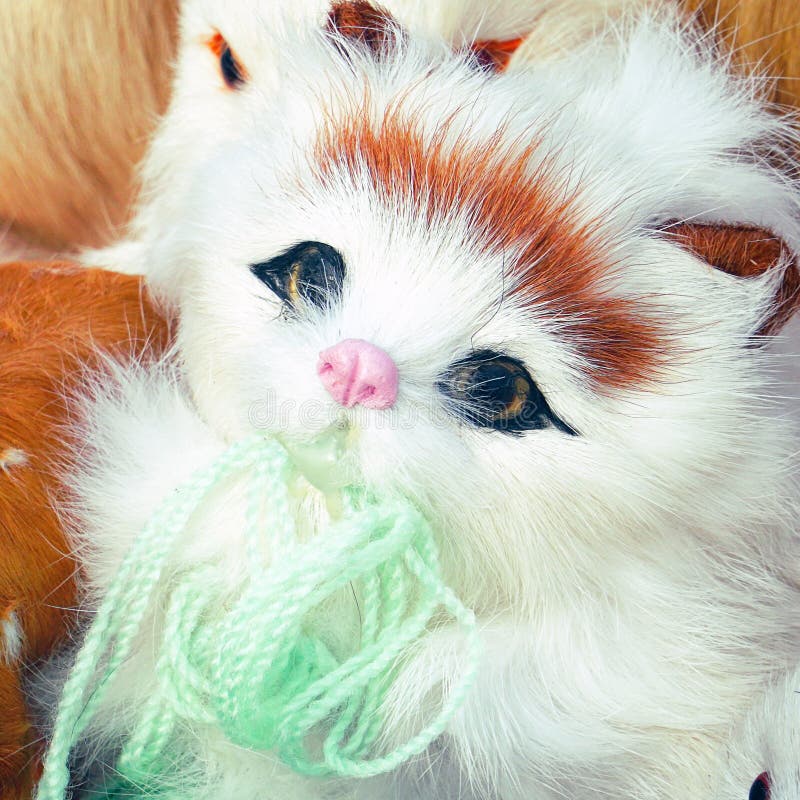 Soft Toys Kittens Sitting in Front of Camera Stock Photo Image of plaything, portrait 178199922