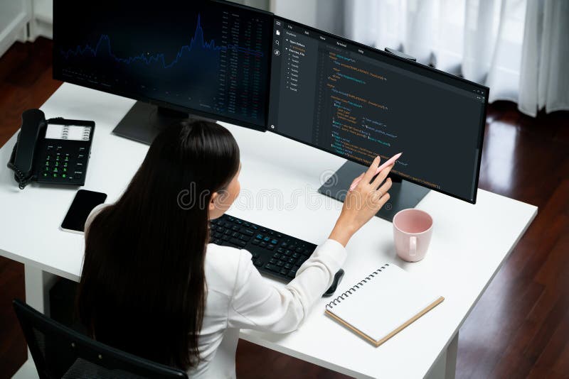 Software development programming on computer screen for brisk application and program coding software development programming on стоковое изображение