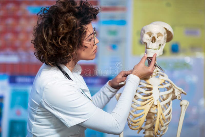 Soignez l'anatomie de enseignement de femme utilisant le modèle squelettique humain image libre de droits Soignez l'anatomie de enseignement de femme utilisant le modèle squelettique humain image libre de droits