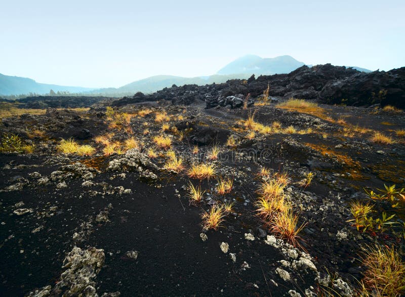 Soil royalty free stock image
