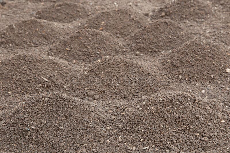 Soil royalty free stock images