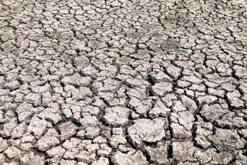 Soil background, cracks soil texture for background selective focus royalty free stock photo