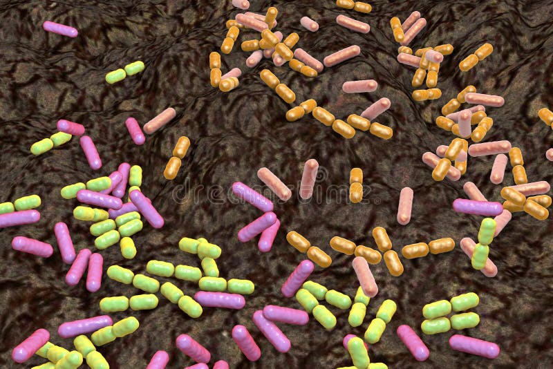 insidia bacteria soil bacteria insidia bacteria soil bacteria