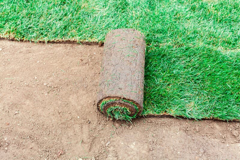 Soil Coating with Rolls of a Lawn Stock Photo Image of earth, landscape 208081460