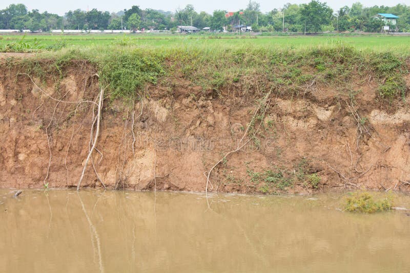 Soil erosion due to water erosion.