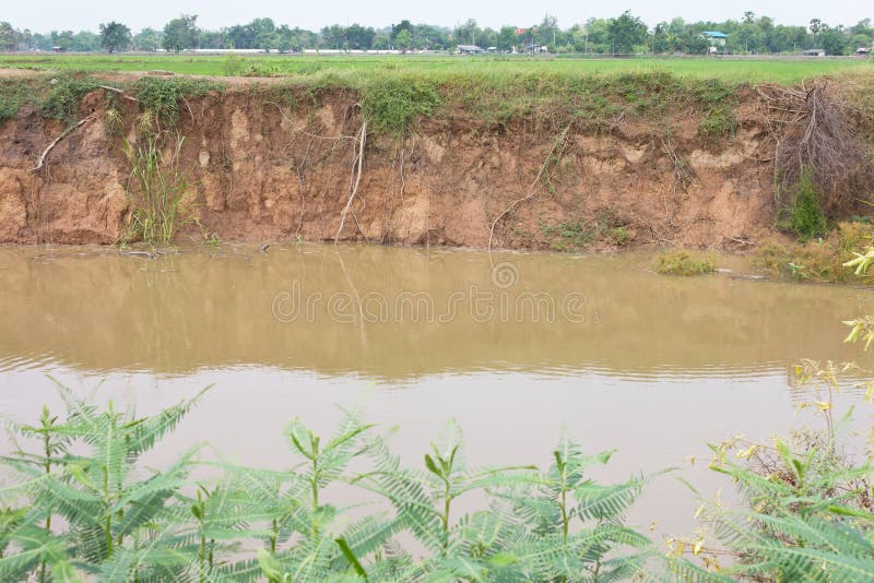 Soil erosion due to water erosion.