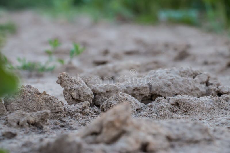 Soil, Grass, Rock, Sand Picture. Image 125016581