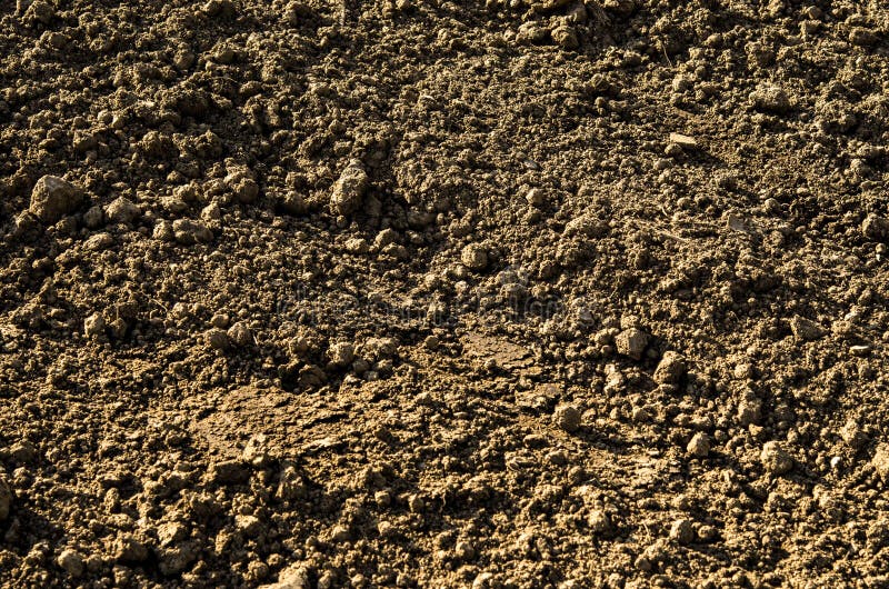 Soil royalty free stock image