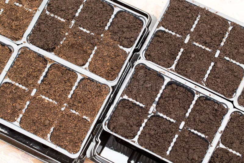 Soil for Planting Plants in the House Stock Image Image of garden
