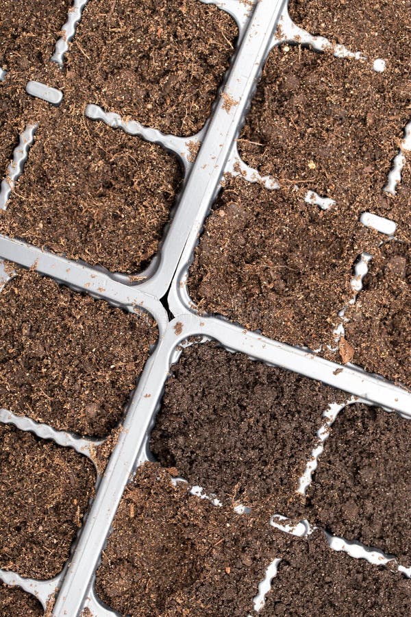 Soil for Planting Plants in the House Stock Image Image of green