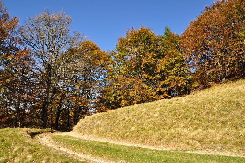 Soil road on a hillside.