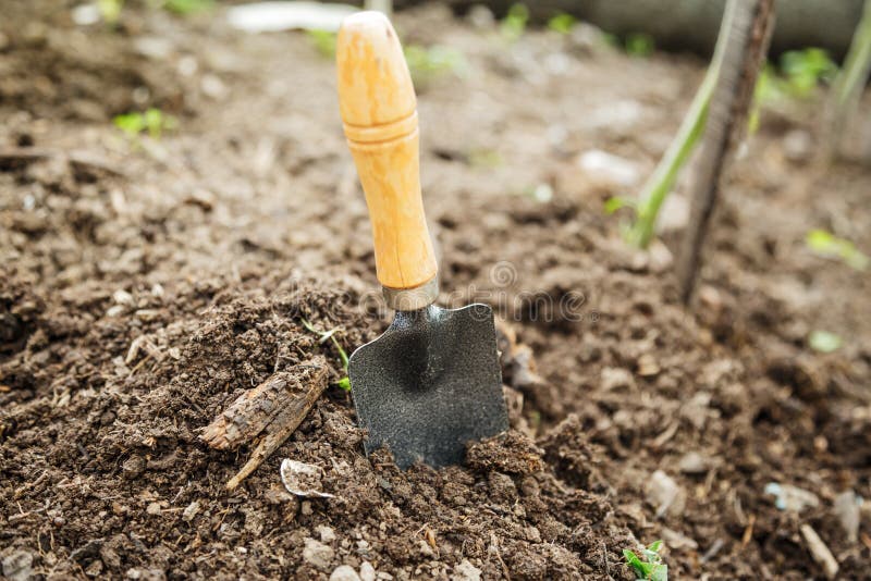 Soil and shovel stock photo. Image of tool, manual, cultivated 35859660