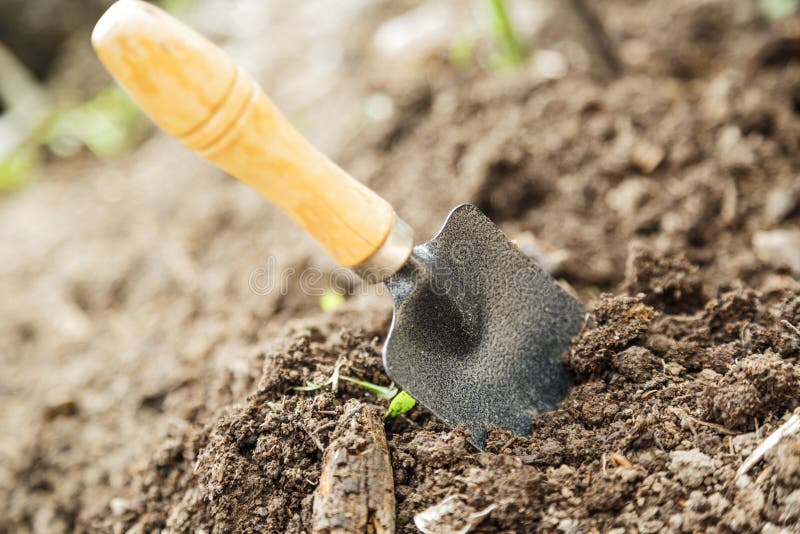 Soil and shovel stock photo. Image of tool, manual, cultivated 35859660
