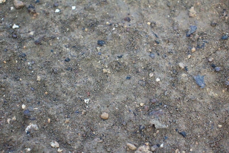 Soil Wet from Rain stock photo. Image of growth, countryside 234375410